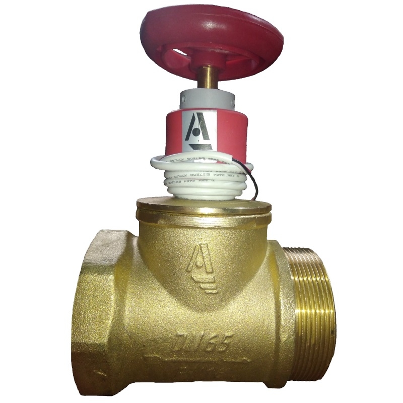 Клапан пожарн лат прям КПЛП 65-1 Ду 65 1,6 МПа муфта-цапка с датч пол ДППК 23 Апогей 110020, DN 65